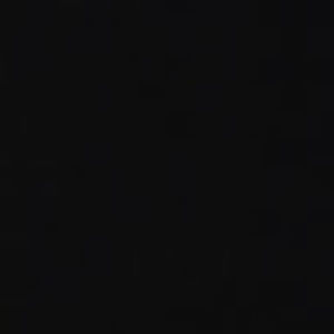 Meet your Posher, Bailey